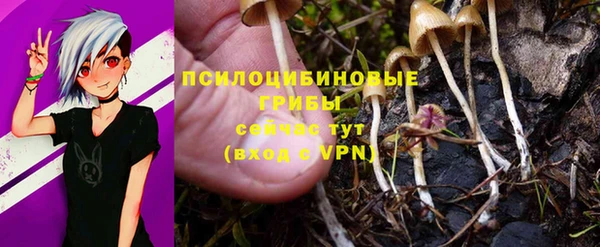 ALPHA PVP Арсеньев