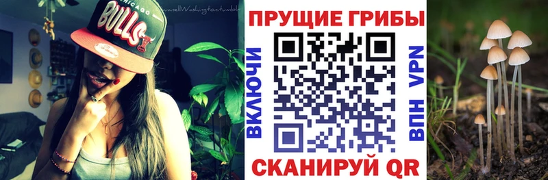 Галлюциногенные грибы мицелий  Кукмор 
